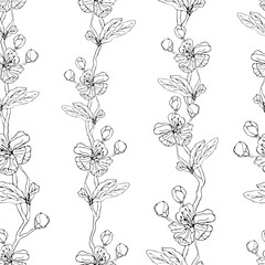 Beautiful hand drawn cherry (sakura) branches on white background. Seamless floral season pattern. Suitable for coloring book, packaging, textile.