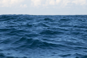Fototapeta na wymiar Out in the blue ocean