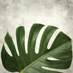  old paper background