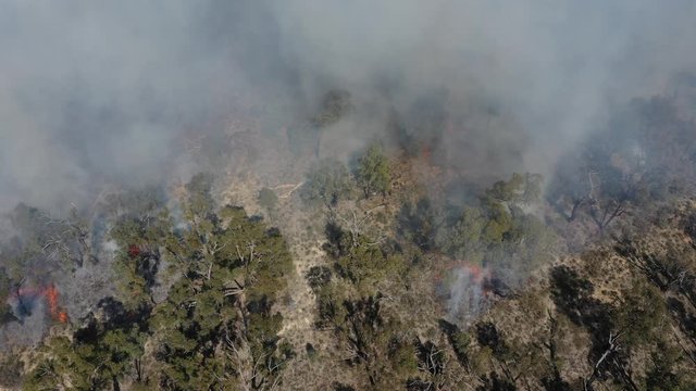 Bushfire in Australia. Drought and Climate Change increase likelihood of these forest fires.