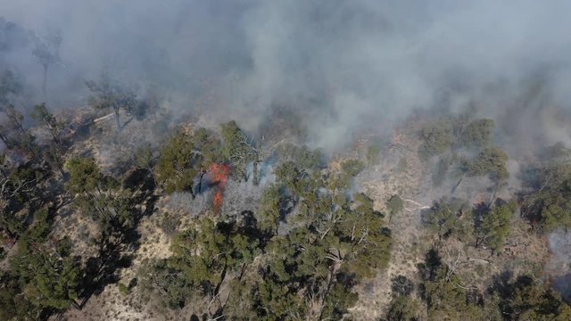 Bushfire in Australia. Drought and Climate Change increase likelihood of these forest fires.
