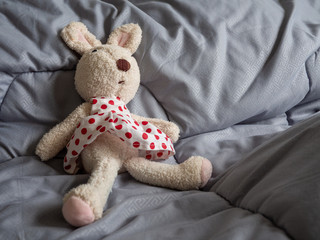 Rabbit doll that was stripped of clothes, statutory rape concept