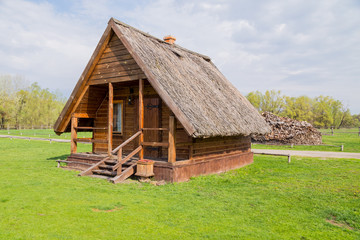 Fototapeta na wymiar Ukrainian village house