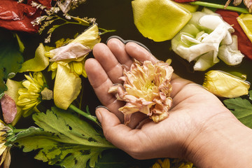 Hand holding delicate flower