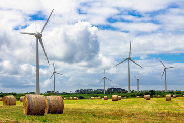 Fototapeta énergie renouvelable d’éoliennes et agriculture  obraz