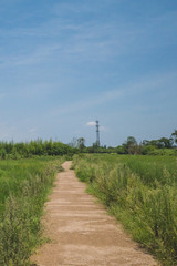 Landscape at Archaeological Ruins of Liangzhu City,  Hangzhou, China