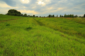Evening landscape, path up the grass to a green hill.