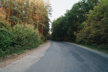 autumn panorama of the road near the yellow forest