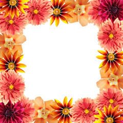 Beautiful floral background of dahlia, gazania and purslane. Isolated