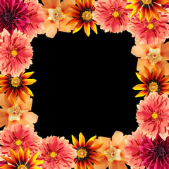 Beautiful floral background of dahlia, gazania and purslane. Isolated