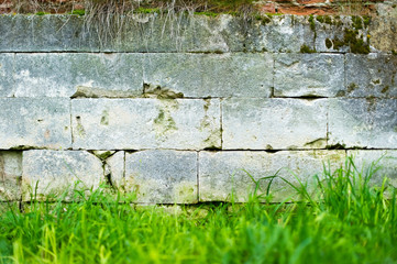 a stone wall on which moss grows, grass grows under it and some vegetation hangs on top