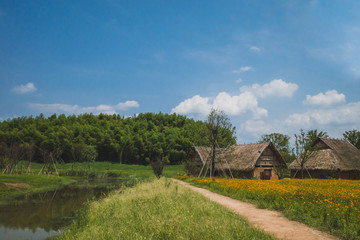 Landscape at Archaeological Ruins of Liangzhu City,  Hangzhou, China
