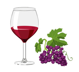 Red wine in a glass and a bunch of ripe grapes isolated on white background. Vector illustration of alcoholic drink in cartoon simple flat style.