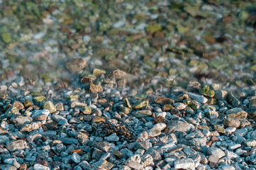Nature pebbles background. Sea peblles beach. Beautiful nature. Long exposure. Aegean coast in Turkey at sunrise. Bodrum.