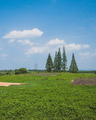 City site at Archaeological Ruins of Liangzhu City, Hangzhou, China