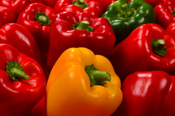 Fresh red, green, yellow bell pepper background.
