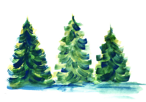 Inconsistent row of three fir trees casting blue shadows isolated on white background. Watercolor hand drawn image of coniferous trees painted with large brush strokes of blue, green and yellow.