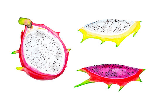 Realistic Pattaya different color fruits. Half part and slices. Watercolor hand painted isolated elements on white background. Illustration of exotic tropical fresh fruit. Dragon eye.