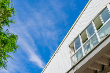 学校の体育館