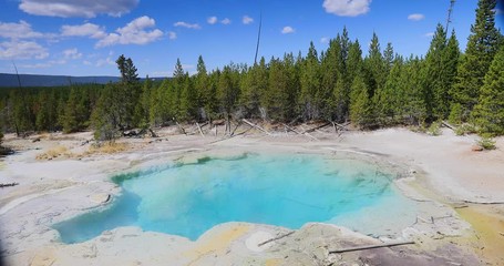 Yellowstone National Park geyser basin steam. Geothermal ecosystem environment. Largest super volcano on the continent. Biology geography and ecology. Millions of tourist.