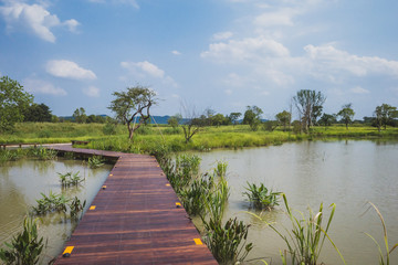Fototapeta premium Landscape at Archaeological Ruins of Liangzhu City, Hangzhou, China