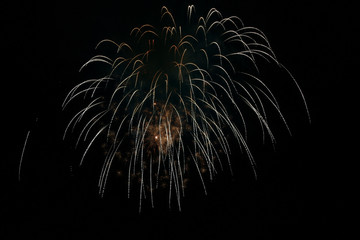 Colorful fireworks in night sky background