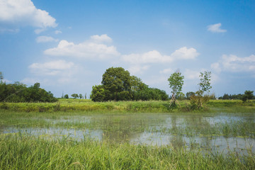 Landscape at Archaeological Ruins of Liangzhu City,  Hangzhou, China