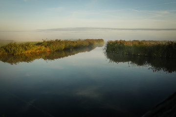 Foggy grass lands with water