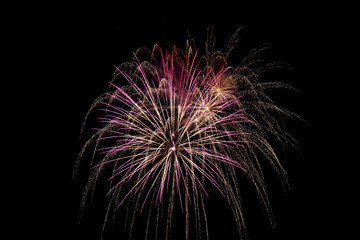 Fototapeta premium Colorful fireworks in night sky background