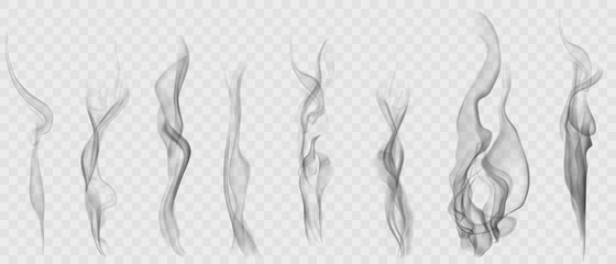 Set of realistic transparent smoke or steam in white and gray colors, for use on light background. Transparency only in vector format © Olga Moonlight