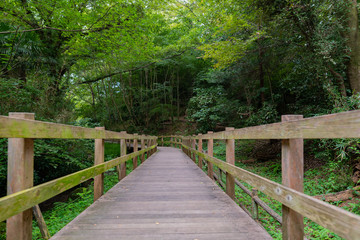 静岡県駿東郡清水町　柿田川湧水公園