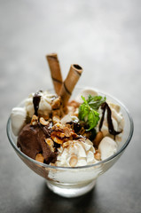 chocolate and mint vanilla ice cream sundae dessert in bowl