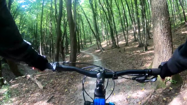 MTB bicycle riding on the trails in the summer season