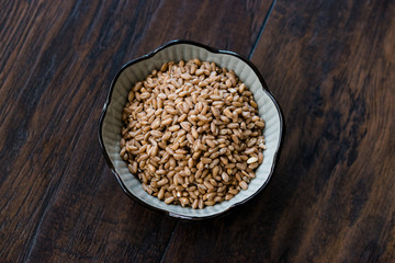 Karakilcik Organic Wheat Grains Seed in Bowl.