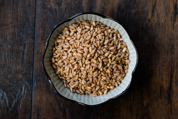 Karakilcik Organic Wheat Grains Seed in Bowl.