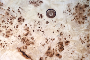 Texture Background of Wooden Wood