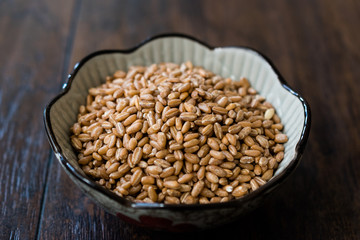 Karakilcik Organic Wheat Grains Seed in Bowl.
