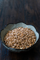 Karakilcik Organic Wheat Grains Seed in Bowl.