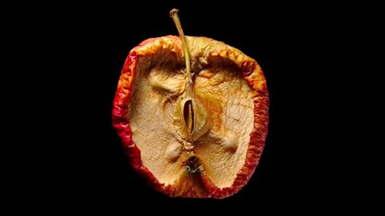 Half of fresh ripe yellow apple drying process. Time lapse shot, isolated on black background. Fruit quickly become small and wrinkled