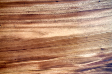 Texture Background of Wooden Wood