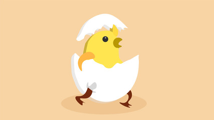 chicks, chick, egg, egg chicks, hen