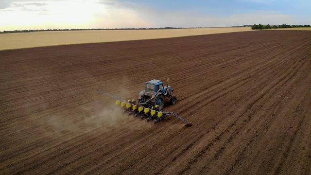 Aerial view of old blue tractor is sowing grain seeds in big brown field. Drone shoots video planting grain agricultural machinery in soil