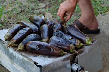 Blue eggplant or aubergine roasting on a gas stove in the garden, Zavet, Bulgaria  