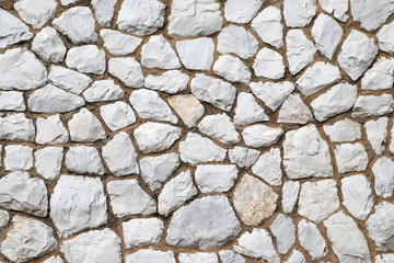 Stone slab as background. The background consists of many rock sheets.