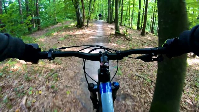 MTB bicycle riding on the trails in the summer season