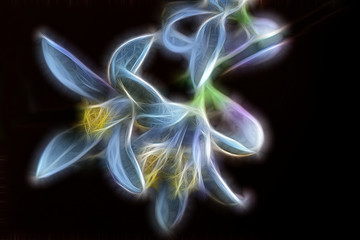 Fractal image of graceful white-purple lemon flowers on a dark background