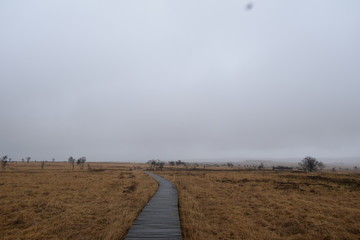 Hohes Venn in Belgien, Hoch Moor