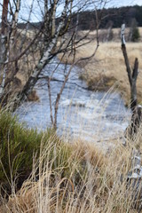 Hohes Venn in Belgien, Hoch Moor