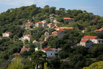 Fototapeta na wymiar Aerial view of the village on Mljet Island, Croatia