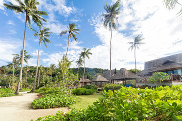 Fototapeta na wymiar Empty sunny Phi-Phi island Beach with tall palms and beach bungalows